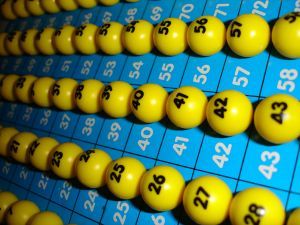 Bingo Banko spilleplader